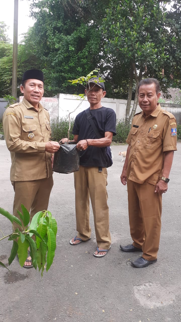 pembagian-tanaman-untuk-penghijauan-di-kecamatan-jawilan